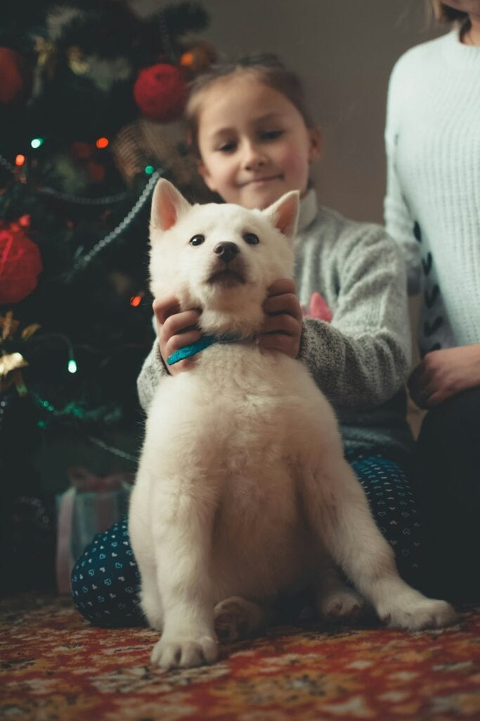 A smiling girl with her dog showing a Christmas tree in the background.